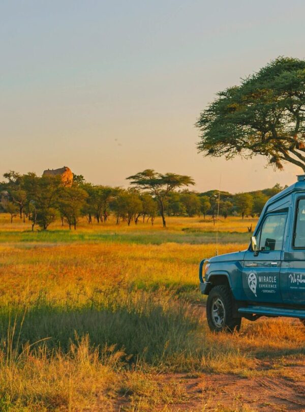 pexels-tanzania-wild-sky-986912744-20179680